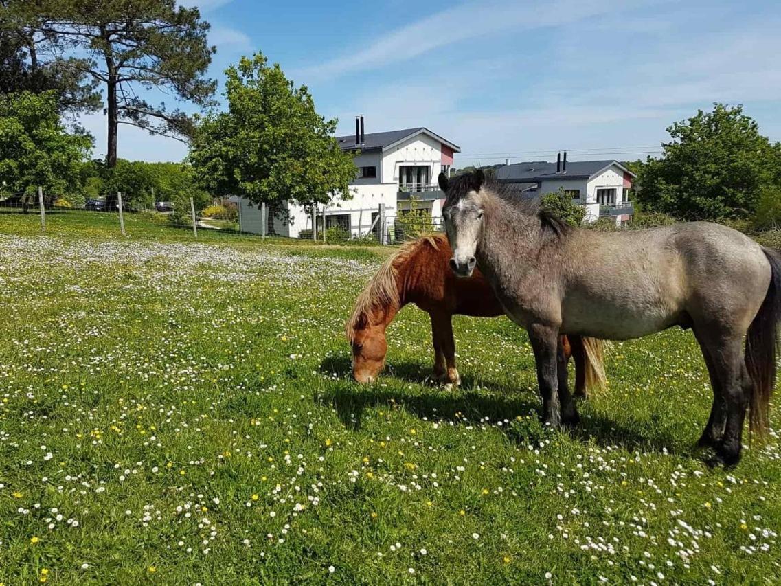 Gites & Tiny Houses Les Hauts De Toulvern Baden