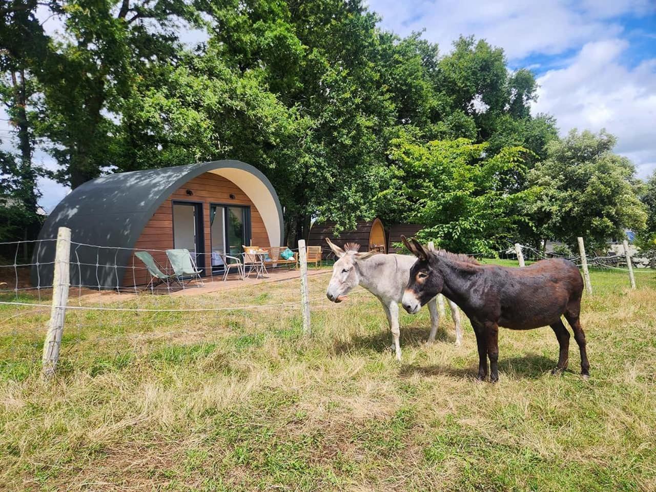 Apartamento & Tiny Les Hauts De Toulvern Baden
