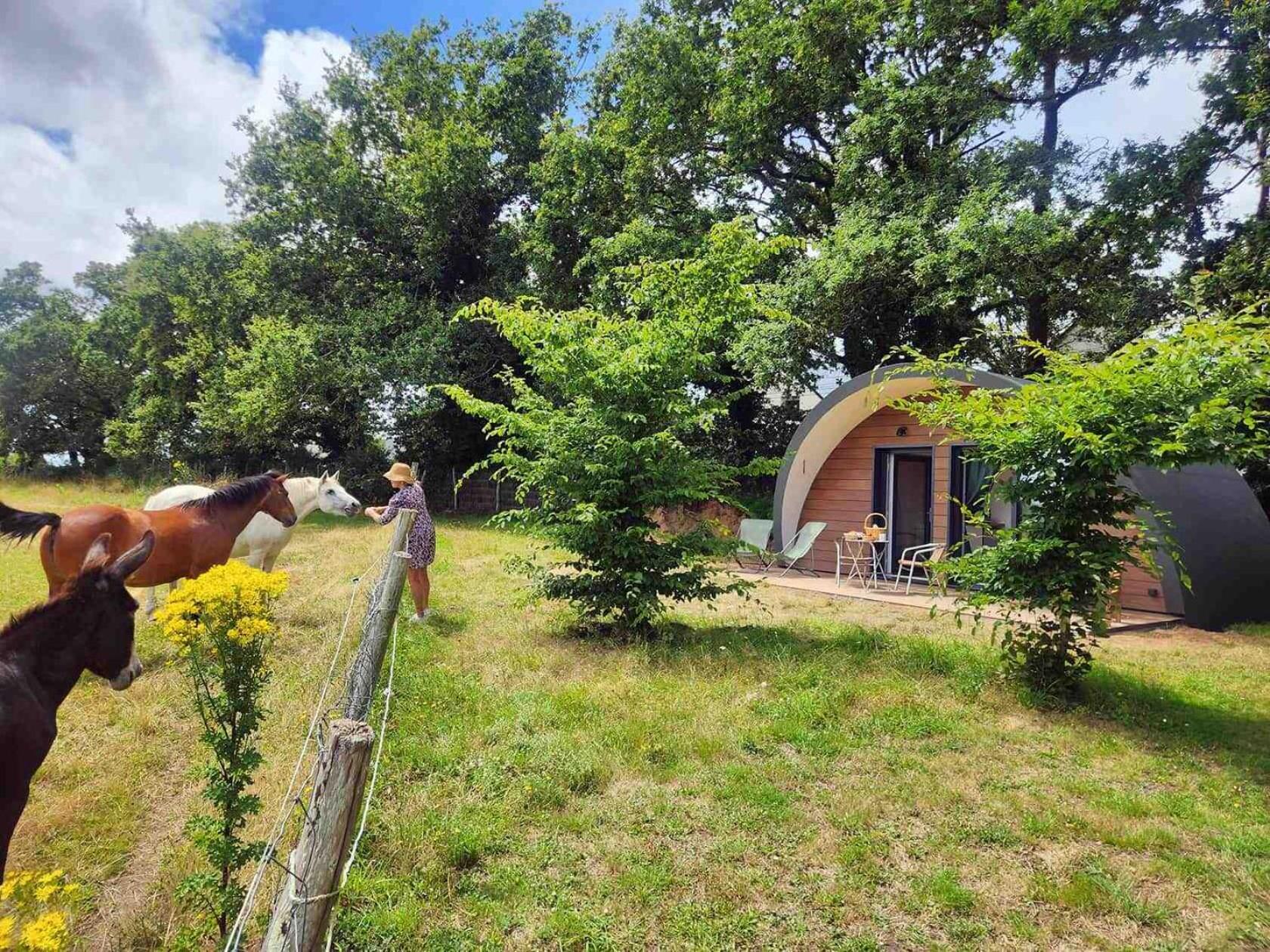 & Tiny Les Hauts De Toulvern Apartamento