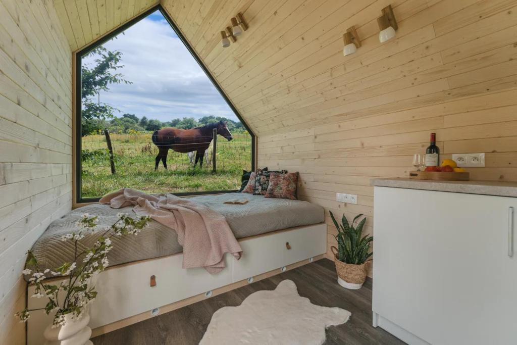 Apartment Gites & Tiny Houses Les Hauts De Toulvern *