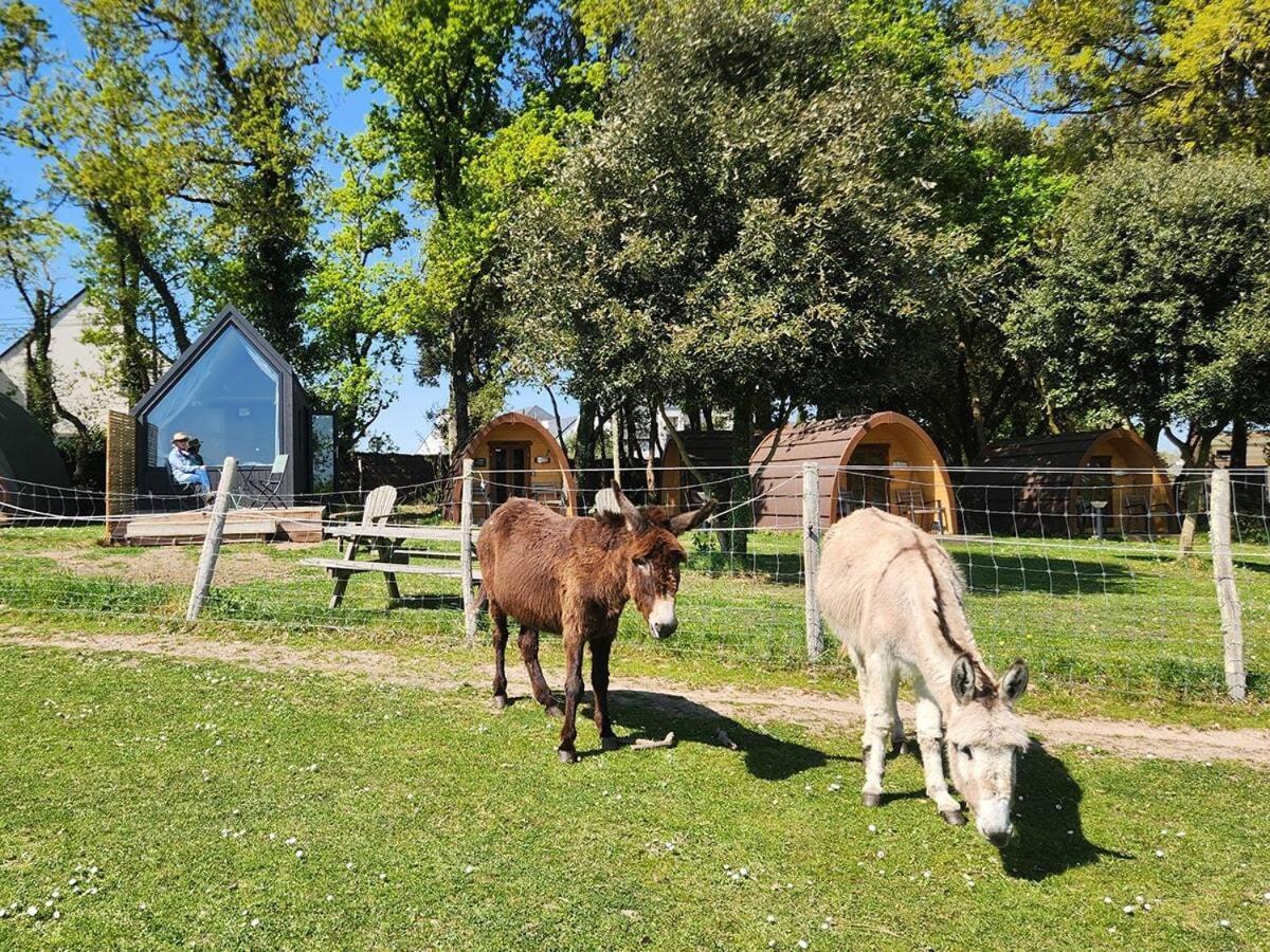 Apartment Gites & Tiny Houses Les Hauts De Toulvern Baden
